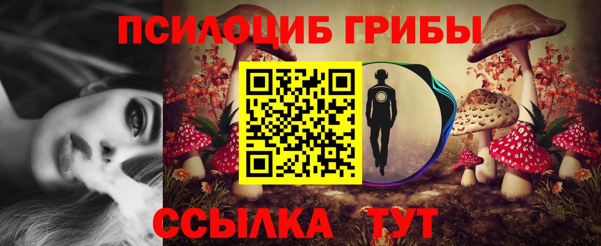 Галлюциногенные грибы Psilocybe Шадринск
